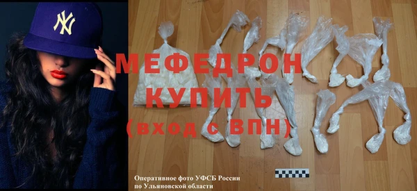 индика Ельня