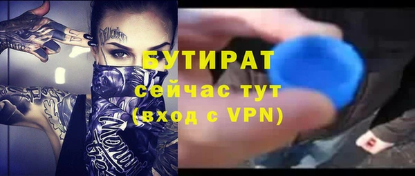 индика Ельня