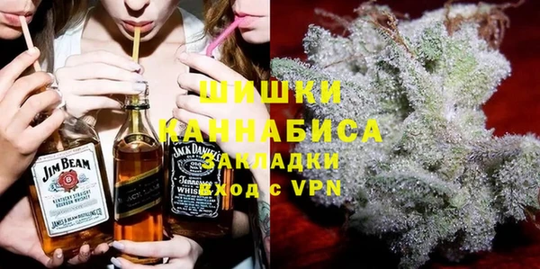 индика Ельня