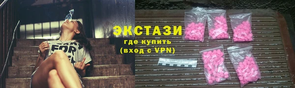 индика Ельня