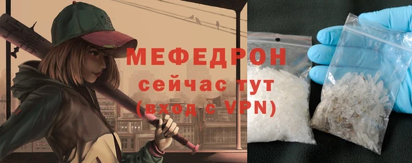 индика Ельня