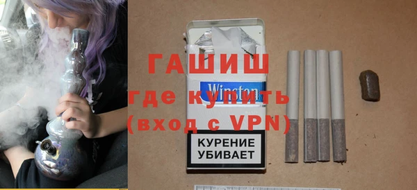 индика Ельня