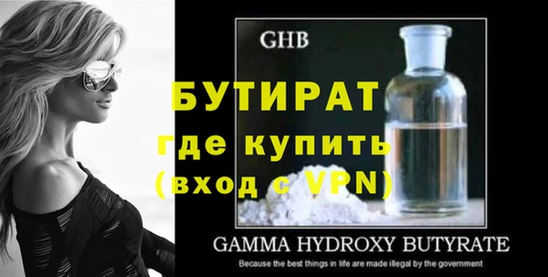 индика Ельня