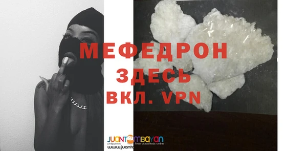 индика Ельня