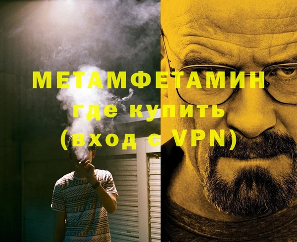 индика Ельня