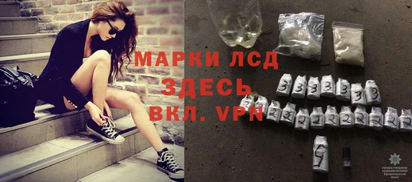 индика Ельня