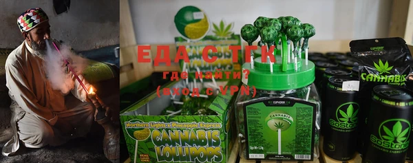 индика Ельня
