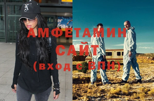 индика Ельня