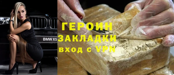 индика Ельня