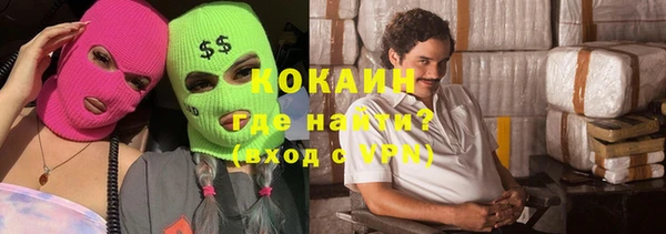 индика Ельня