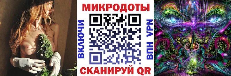 Галлюциногенные грибы Psilocybe  Купить закладки  Кадников 